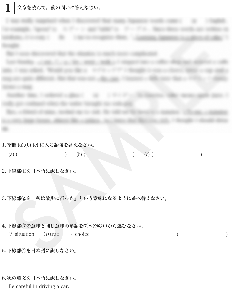 Readingの実際の紙面。本文にぼかしを維持した読解本文と設問の構成